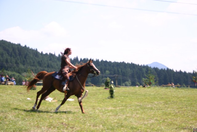 img00015.jpg